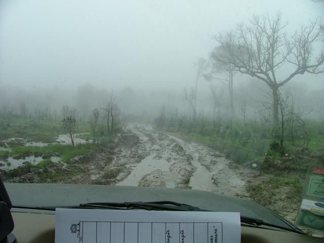 alcacerdosal02