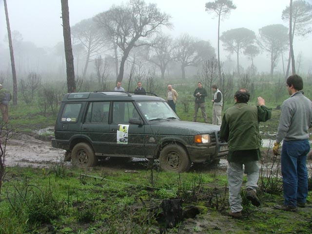 alcacerdosal06
