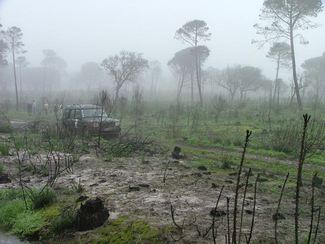 alcacerdosal07