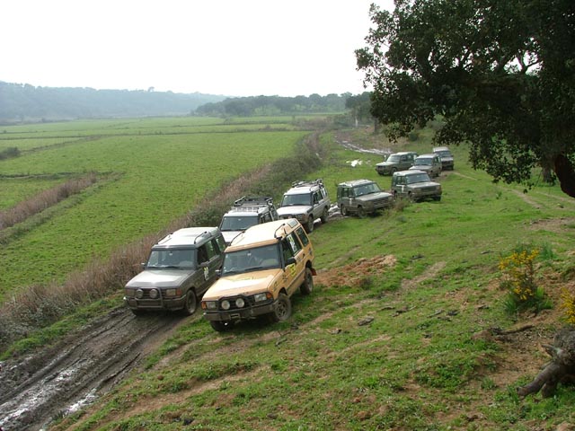 alcacerdosal09