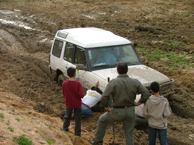 alcacerdosal12