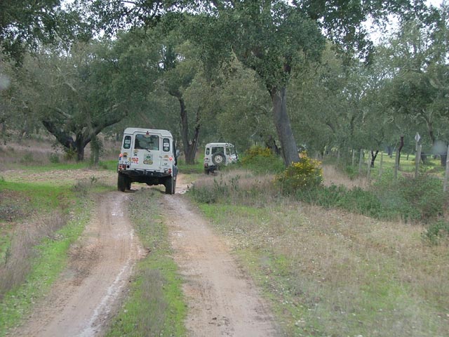 alcacerdosal14